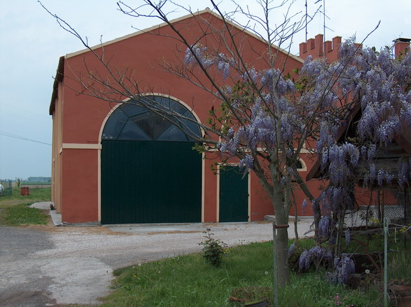 Rustico - Cascina OCCHIOBELLO vendita  Occhiobello  Le case Intermedia