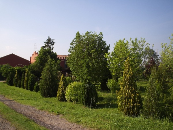 Rustico - Cascina OCCHIOBELLO vendita  Occhiobello  Le case Intermedia