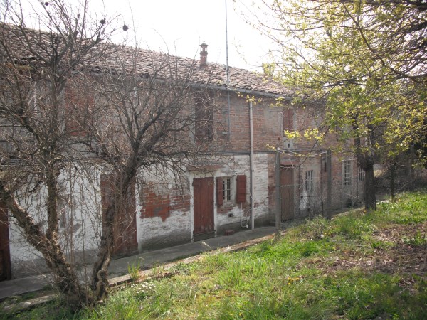 Rustico - Cascina VIGARANO MAINARDA vendita  Vigarano Mainarda  SAN MARTINO IMMOBILIARE