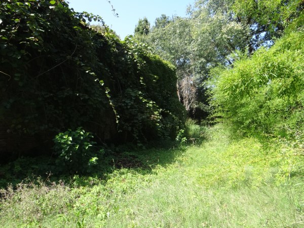 Villa Unifamiliare - Indipendente FERRARA vendita  S. Bartolomeo in bosco  SAN MARTINO IMMOBILIARE