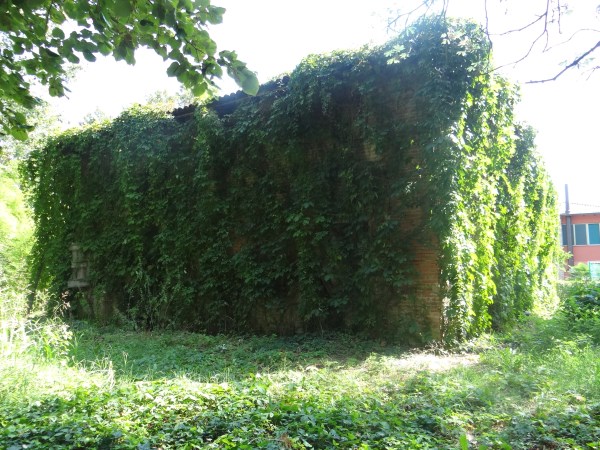 Villa Unifamiliare - Indipendente FERRARA vendita  S. Bartolomeo in bosco  SAN MARTINO IMMOBILIARE