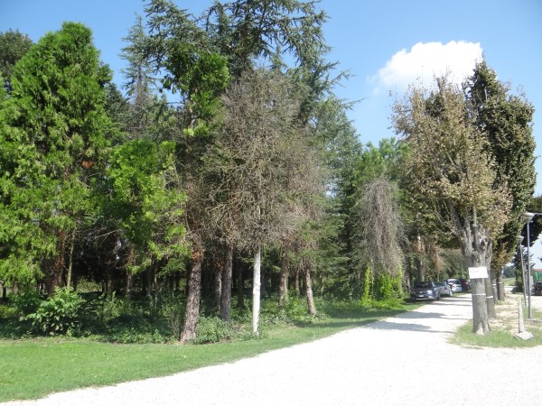  ferrara vendita quart: s. bartolomeo in bosco san martino immobiliare